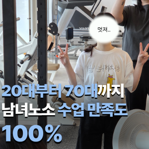 시스템피티 1