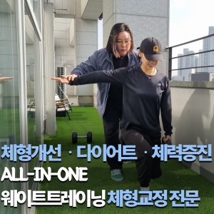 시스템피티 2