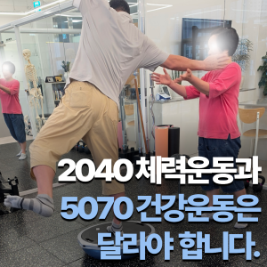 시스템피티 3
